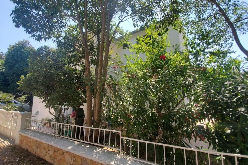 Casa Blanca, Biograd Na Moru Apartment Bagian luar foto