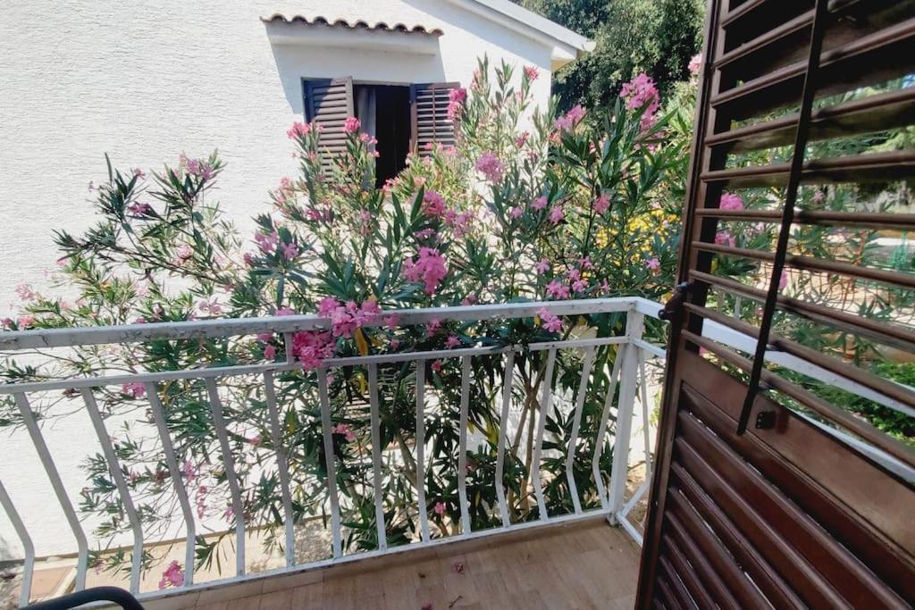 Casa Blanca, Biograd Na Moru Apartment Bagian luar foto